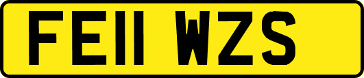 FE11WZS