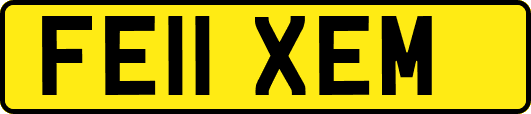 FE11XEM