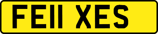 FE11XES