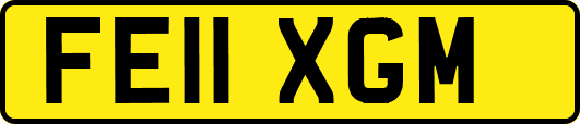 FE11XGM