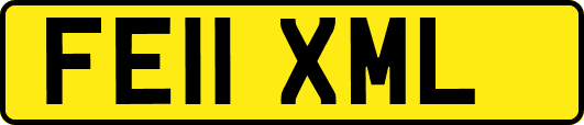 FE11XML