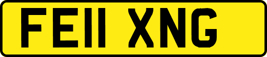 FE11XNG