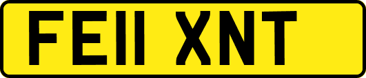 FE11XNT