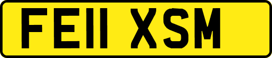 FE11XSM