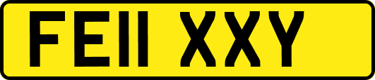 FE11XXY