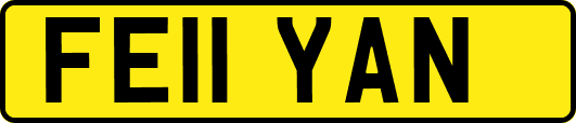 FE11YAN