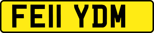 FE11YDM