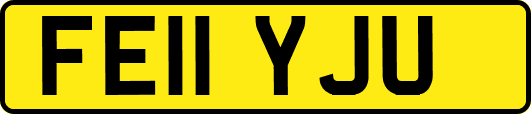 FE11YJU