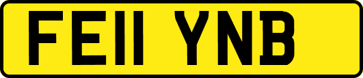 FE11YNB
