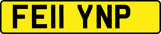 FE11YNP