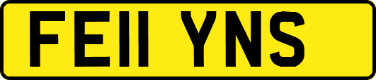 FE11YNS