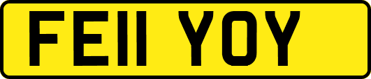 FE11YOY