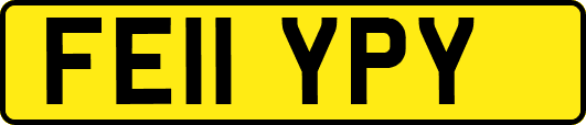 FE11YPY