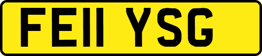 FE11YSG