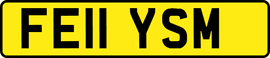 FE11YSM