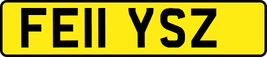 FE11YSZ