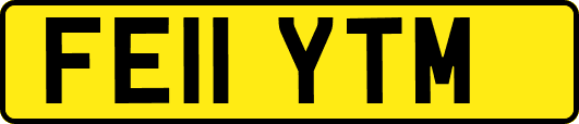 FE11YTM