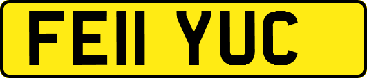FE11YUC