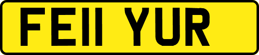 FE11YUR
