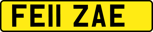 FE11ZAE
