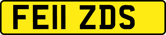 FE11ZDS