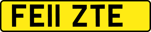 FE11ZTE