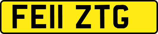 FE11ZTG