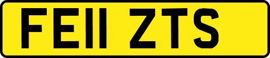 FE11ZTS