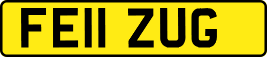 FE11ZUG