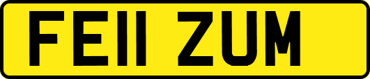 FE11ZUM