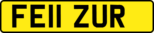 FE11ZUR