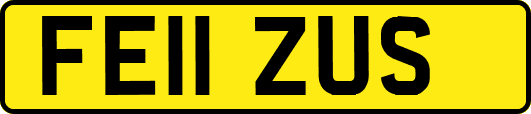 FE11ZUS