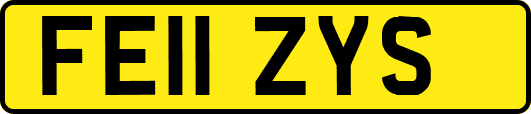 FE11ZYS