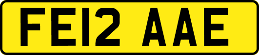 FE12AAE