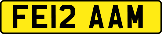 FE12AAM