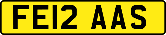 FE12AAS