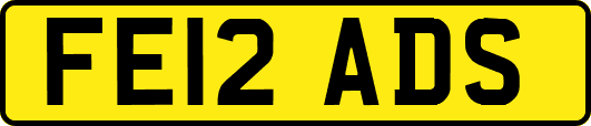 FE12ADS