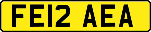 FE12AEA