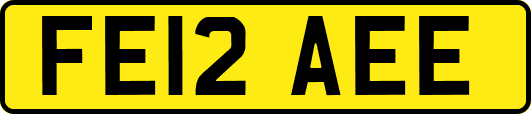 FE12AEE