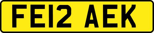 FE12AEK