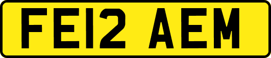FE12AEM