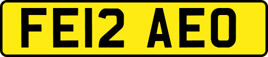 FE12AEO