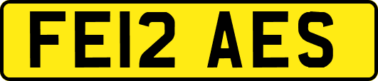 FE12AES