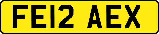 FE12AEX