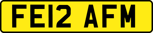 FE12AFM
