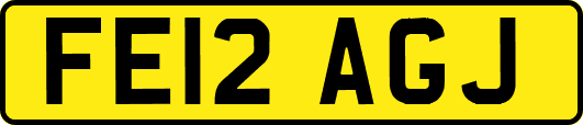 FE12AGJ