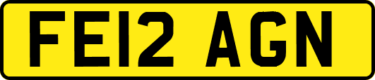 FE12AGN