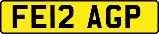 FE12AGP