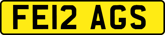 FE12AGS