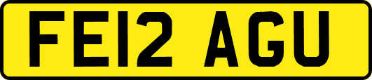 FE12AGU